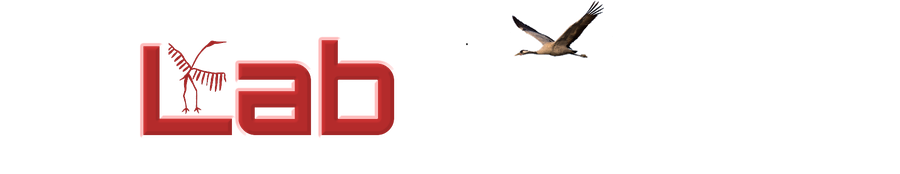 LabCertis